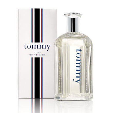 Imagen de Tommy Hilfiger Men Edt 100 ml