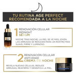 Imagen de Crema de Noche Loreal Age Perfect Cell Renewal 50 ml