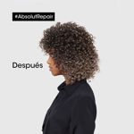 Imagen de Máscara Absolut Repair Reparación Loreal Pro 250 ml