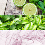 Imagen de Calvin Klein One Edt 200 ml