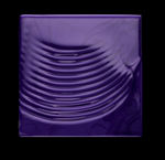 Imagen de Shampoo Silver Matizador Loreal Pro 500 ml