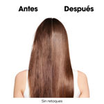 Imagen de Shampoo Reparador Absolut Repair Molecular Loreal Pro 300 ml