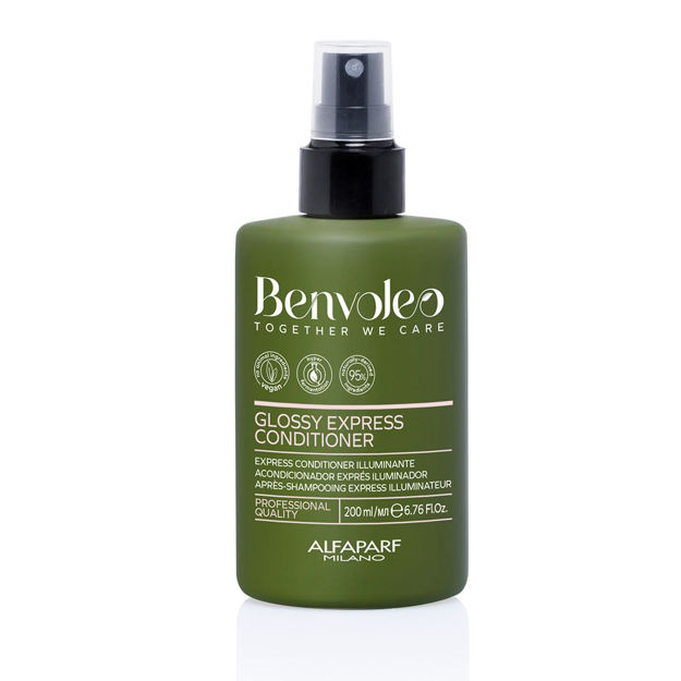 Imagen de Acondicionador Alfaparf Benvoleo Glossy Express 200 ml