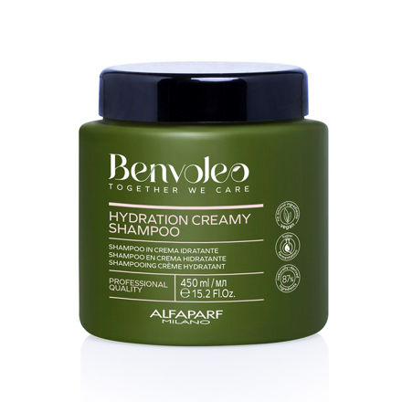 Imagen de Shampoo Alfaparf Benvoleo Hydration Creamy 450 ml