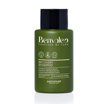 Imagen de Shampoo Alfaparf Benvoleo Recovery 275 ml