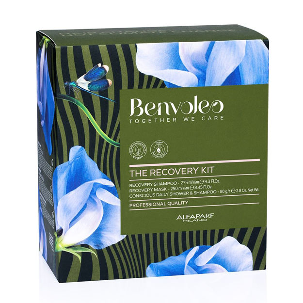 Imagen de Kit Alfaparf Benvoleo The Recovery Kit