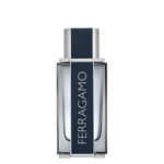 Imagen de Ferragamo Men Edt 100 ml