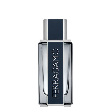 Imagen de Ferragamo Men Edt 100 ml