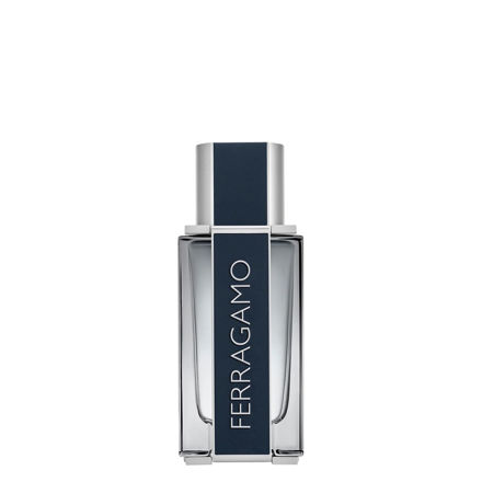 Imagen de Ferragamo Men Edt 50 ml
