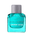 Imagen de Hollister Canyon Rush For Him Edt 50 ml