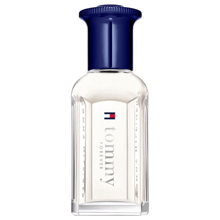 Imagen de Tommy Hilfiger Forever Men Edt 30 ml