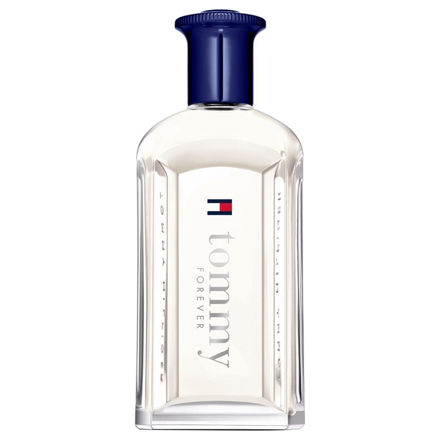 Imagen de Tommy Hilfiger Forever Men Edt 100 ml