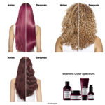 Imagen de Mascara Vitamino Color Spectrum Loreal Pro 250 ml