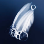 Imagen de Shampoo Living Proof Perfect Hair Day 236 ml