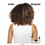 Imagen de Shampoo Reparador Absolut Repair Gold Loreal Pro 500 ml
