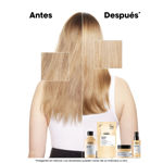 Imagen de Shampoo Refill Absolut Repair Loreal Professionnel 240 ml