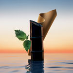 Imagen de Kenzo Homme Edp 60 ml