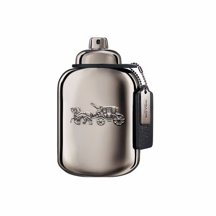 Imagen de Coach Pure Platinum Men Parfum 100 ml